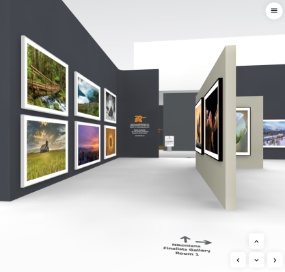 Nikonians Virtual Exhibition 2020
